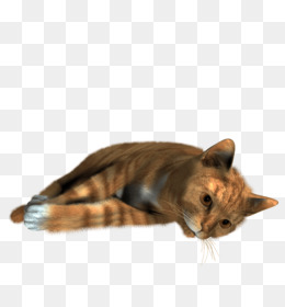 260x280 Download Kitten Grumpy Cat Art Watercolor Cats - Grumpy Cat Watercolor