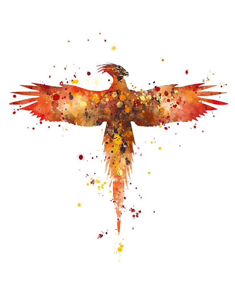 800x1000 Phoenix, Art Print, Fawkes, Gryffindor, Hogwarts, Creature, Animal - Gryffindor Watercolor