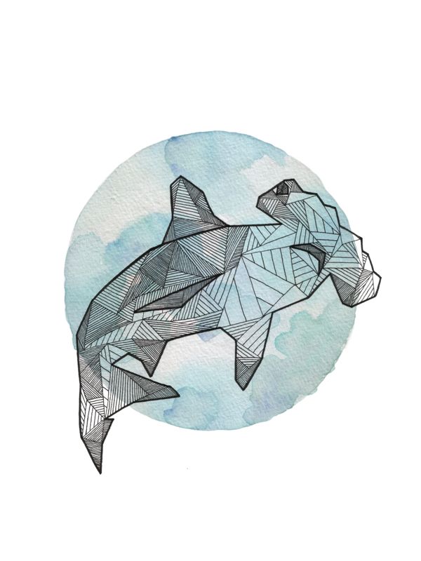 600x800 Drawn Dolphins Shark - Hammerhead Shark Watercolor