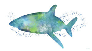 300x167 Hammerhead Shark Paintings Fine Art America - Hammerhead Shark Watercolor