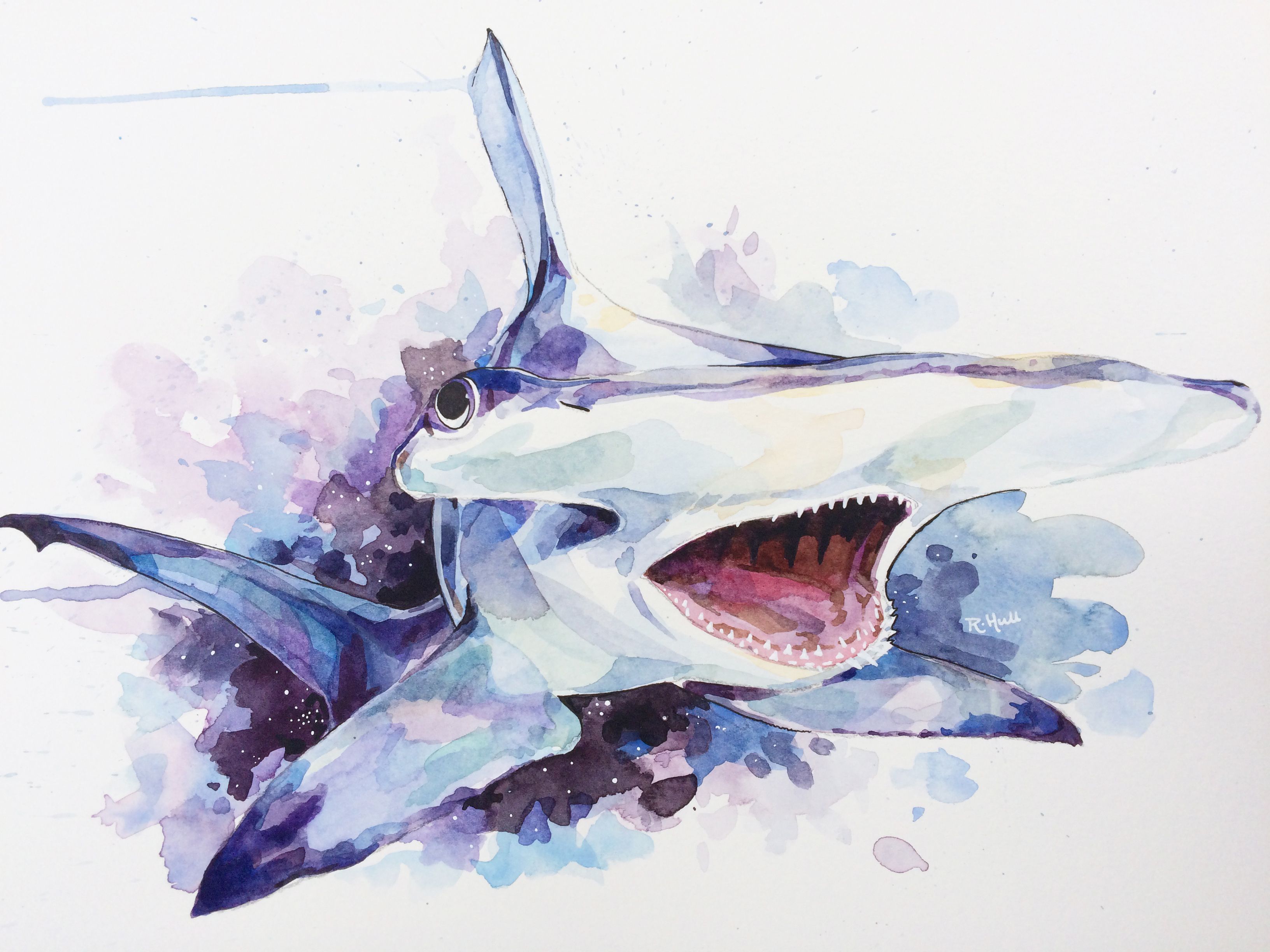 3264x2448 Hammerhead Shark In Space Watercolour 12 X 16in - Hammerhead Shark Watercolor