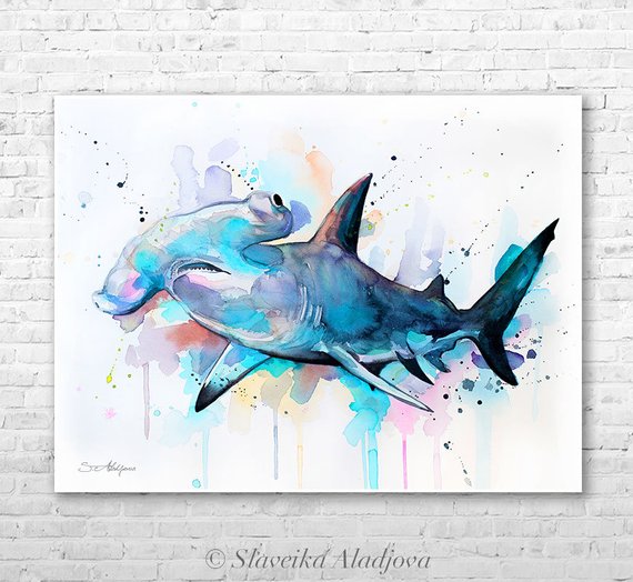 570x524 Hammerhead Shark Watercolor Painting Print By Slaveika Etsy - Hammerhead Shark Watercolor