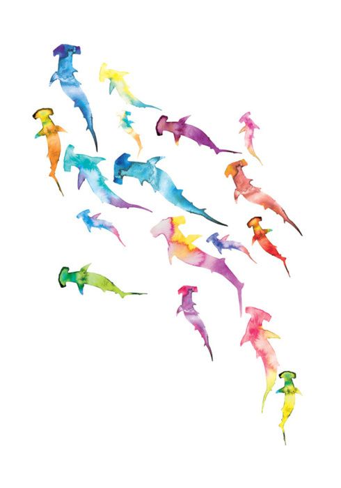 490x700 Pin By ( On Shark, Star And - Hammerhead Shark Watercolor