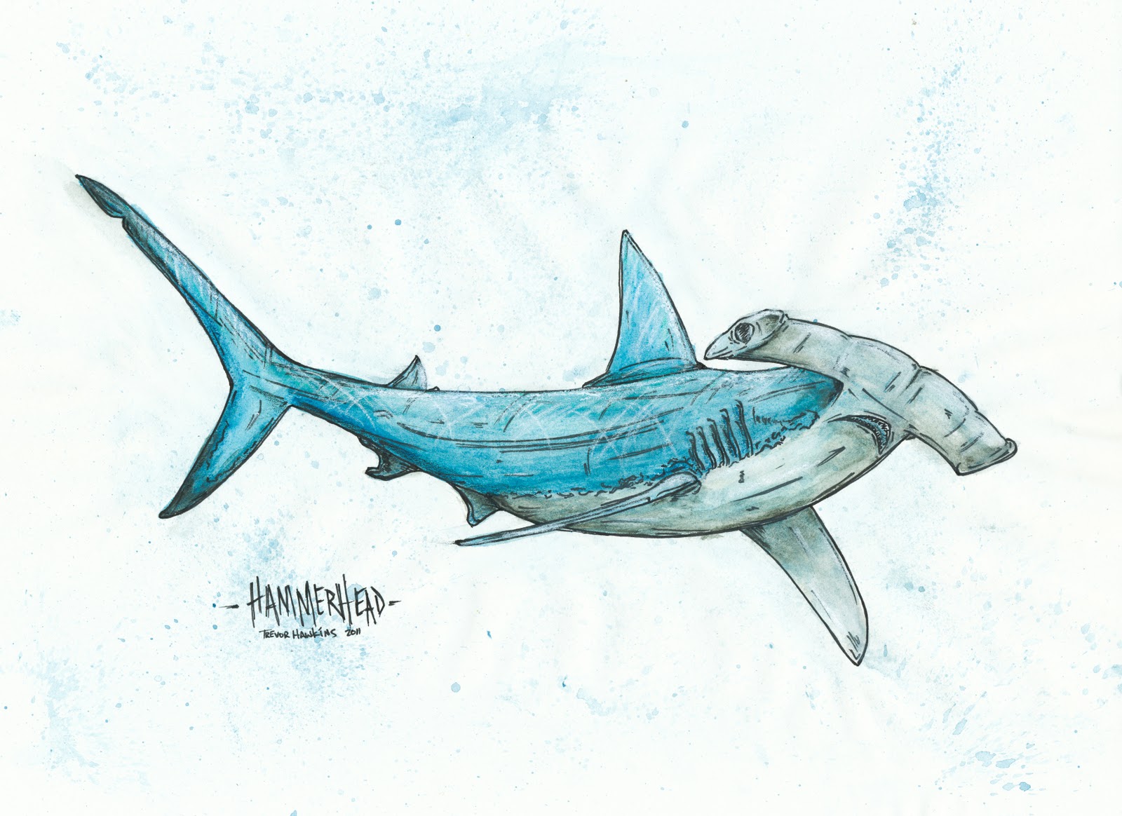 1600x1164 Sharks Eat Meat Day 143 - Hammerhead Shark Watercolor