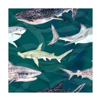 400x400 Sharks Variety Blue, Tiger, Whale And Hammerhead Watercolor - Hammerhead Shark Watercolor