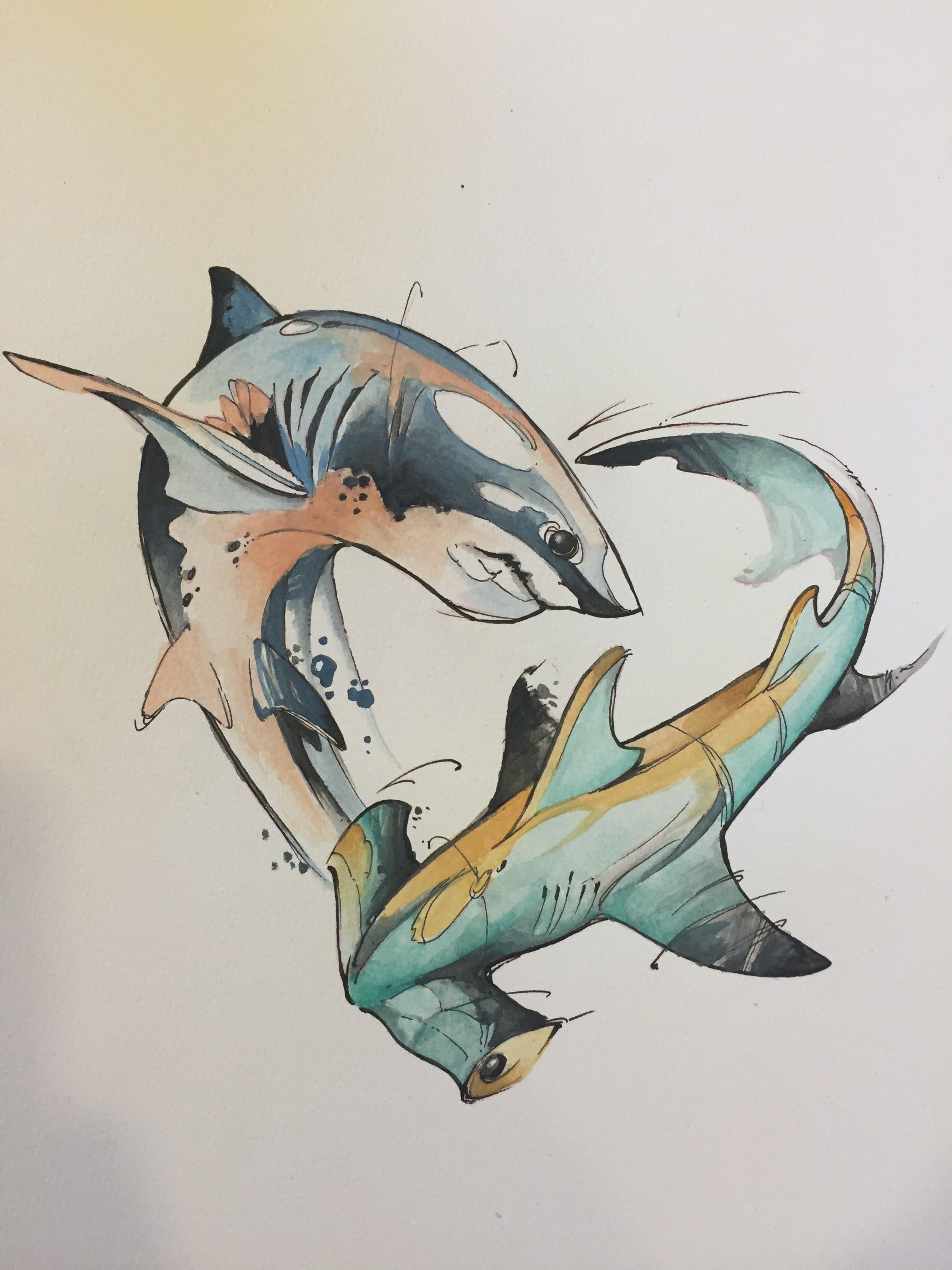 2448x3264 Watercolor Shark And Hammerhead Artwork Shark - Hammerhead Shark Watercolor