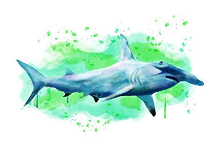 425x283 Hammerhead Shark - Hammerhead Shark Watercolor