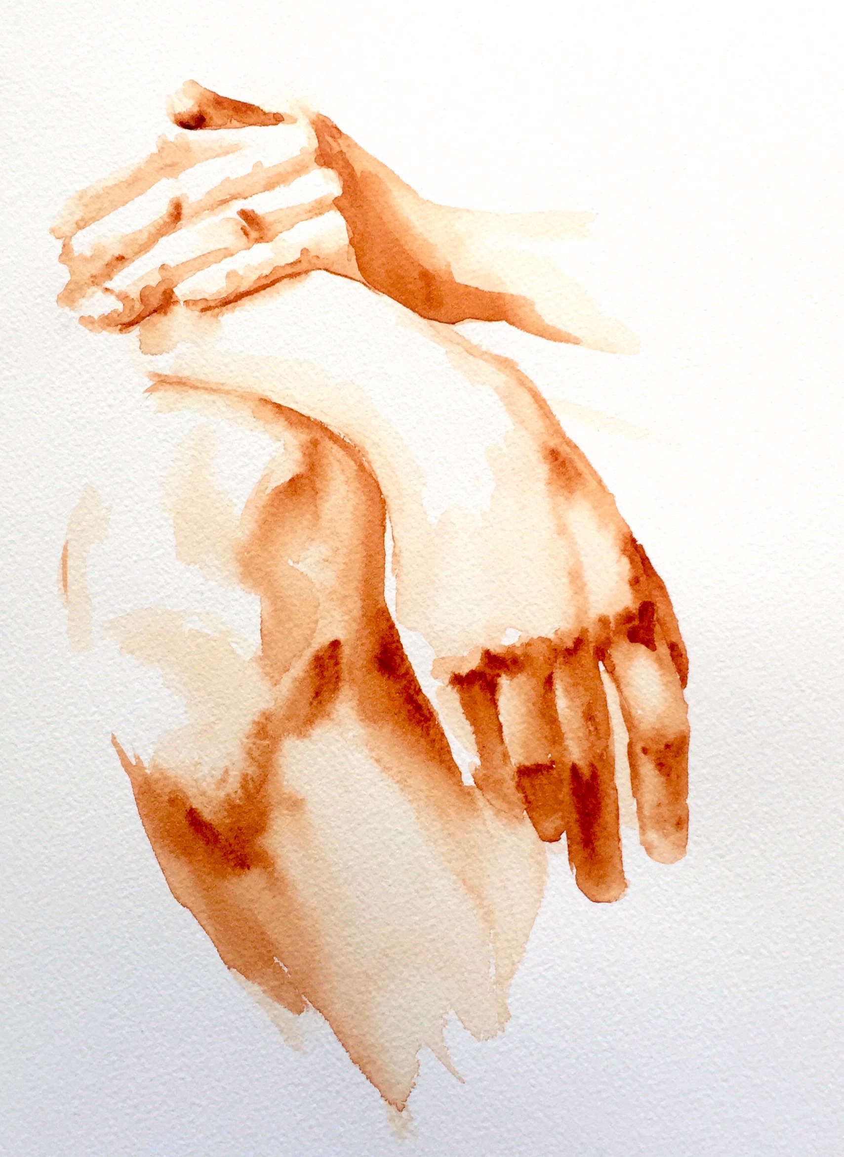 1709x2341 Hand Study - Hand Watercolor
