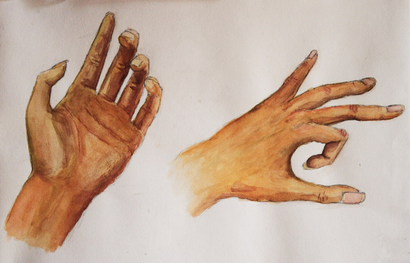 800x514 Hand Watercolor By Hollyshadow - Hand Watercolor