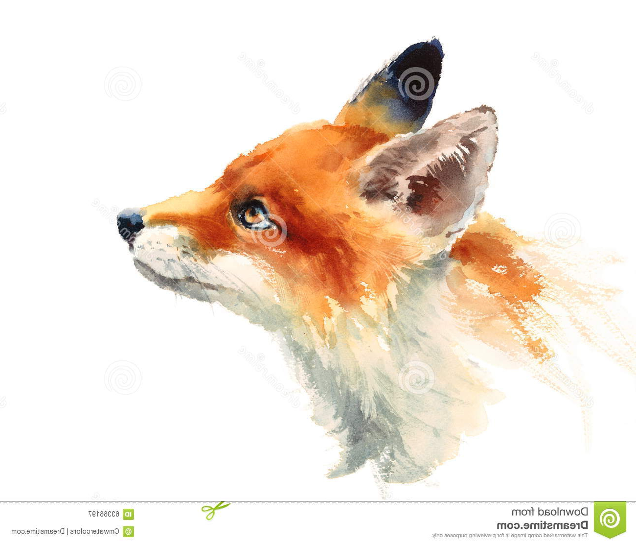 1300x1113 Watercolor Painting Of Animals Fox Looking Up Watercolor Animals - Hand Watercolor