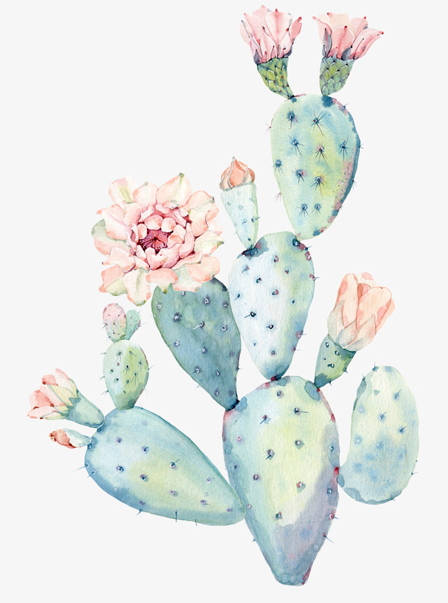 650x876 Hand Painted Watercolor Cactus, Watercolor Clipart, Hand - Hand Watercolor