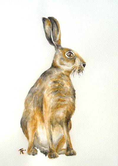 400x562 Hare Watercolor By Sushishef - Hare Watercolor