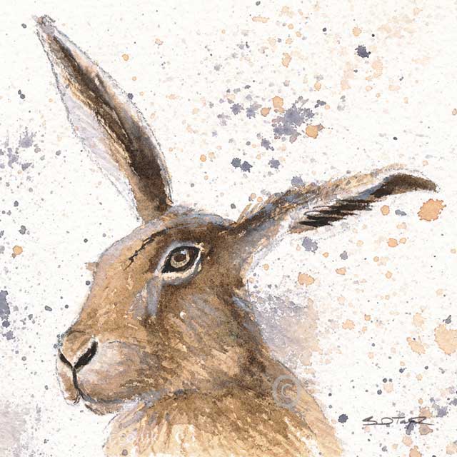 640x640 Mr Hare In Watercolour - Hare Watercolor