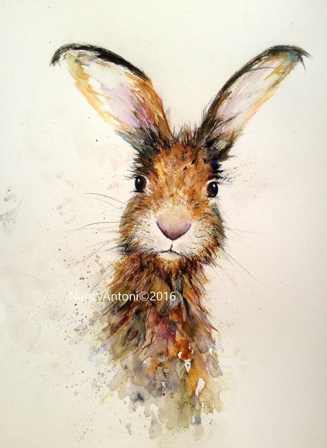668x916 Nancy Antoni - Hare Watercolor