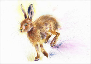 300x212 Helen Rose Limited Print Of My Hare Wildlife Art Watercolour 143 - Hare Watercolor