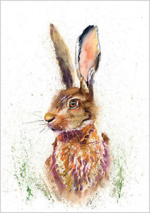 212x300 Helen Rose Limited Print Of My Hare Wildlife Art Watercolour 160 - Hare Watercolor