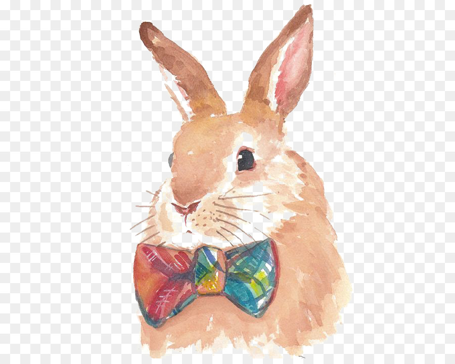 900x720 Hare Bunnies Amp Rabbits Watercolor Painting Drawing - Hare Watercolor