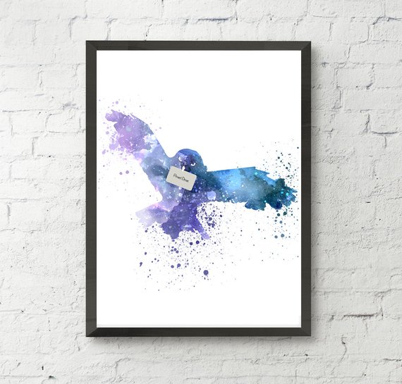 570x545 Hedwig Harry Potter Art Print Fanart Watercolor Owl Owl Art Etsy - Harry Potter Watercolor
