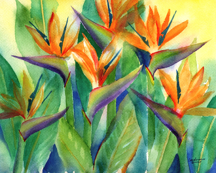 694x557 Susan Cardenas Hawaii Artist Hawaii Watercolor Art Hawaii - Hawaii Watercolor