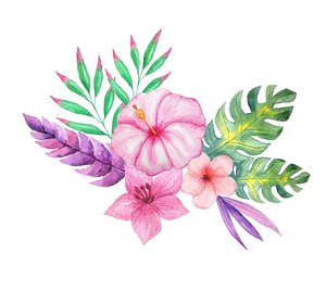 300x267 Hawaiian Flower Paintings - Hawaiian Flower Watercolor