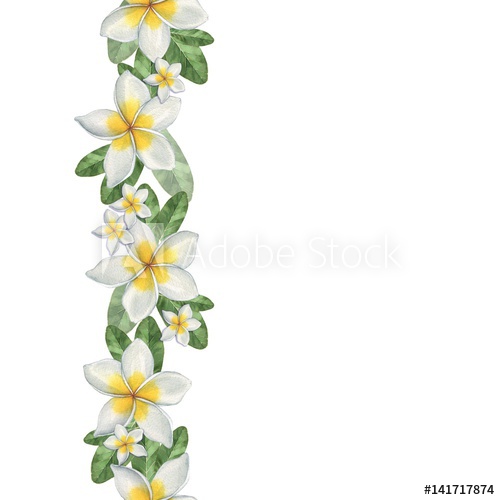 500x500 Hawaiian Flowers. Seamless Border. Watercolor Illustration. Hand - Hawaiian Flower Watercolor