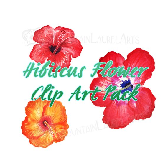 570x570 Hibiscus Watercolor Clip Art Scrapbooking Digital Collage Etsy - Hawaiian Flower Watercolor
