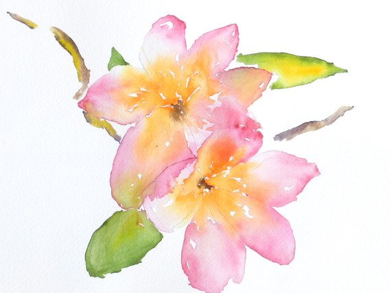 570x428 Original Watercolor Print Plumerias Hawaiian Flowers Etsy - Hawaiian Flower Watercolor