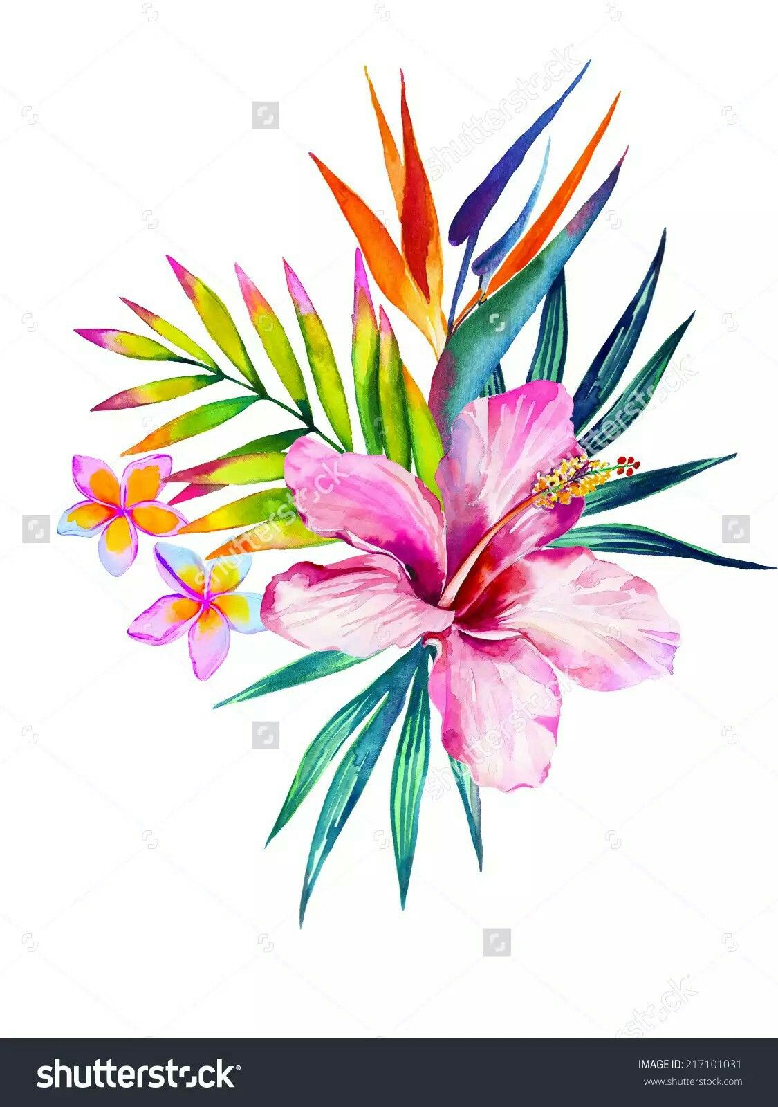 1125x1600 Pin By Alice Bigotti On Fiori Tattoo, Watercolor And - Hawaiian Flower Watercolor