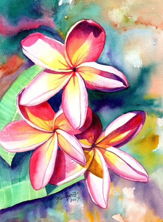 570x776 Plumeria Watercolors Hawaiian Flowers Tropical Flowers Art By - Hawaiian Flower Watercolor
