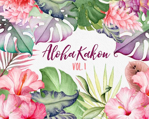 570x456 Watercolour Flowers, Hawaii Clipart, Tropical Flowers, Hibiscus - Hawaiian Flower Watercolor