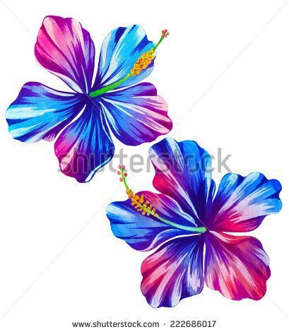 409x470 Tropical Hibiscus. Exotic Flower Watercolor Illustration - Hawaiian Flower Watercolor