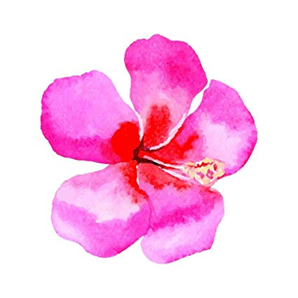 425x425 Watercolor Painted Hibiscus Hawaiian Flower Full - Hawaiian Flower Watercolor