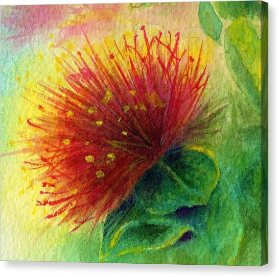 546x543 Hawaii Watercolor Canvas Prints - Hawaiian Watercolor Prints
