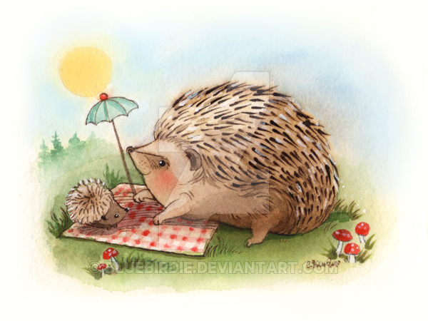 600x450 Hedgehog Watercolor 1 By Bluebirdie - Hedgehog Watercolor