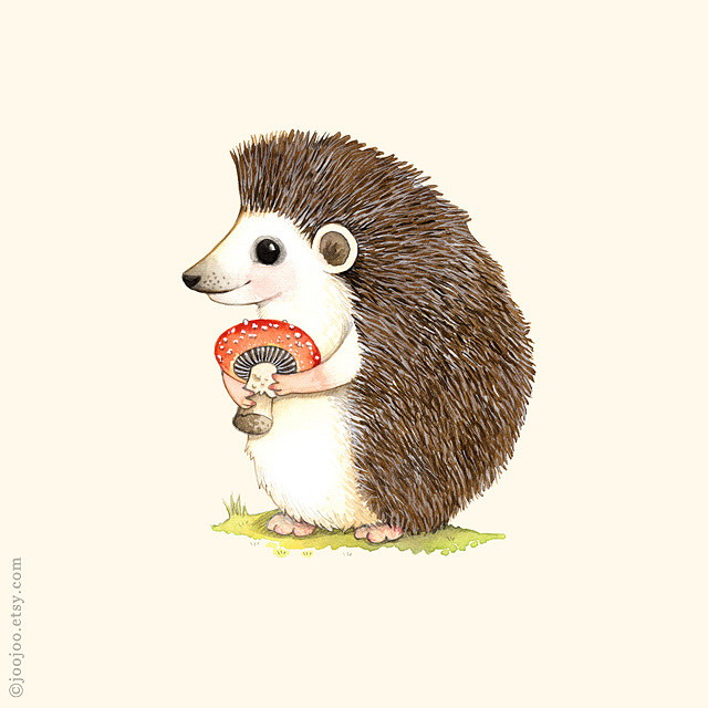 640x640 Hedgehog Watercolor Painting Watercolor And Acrylic Ink - Hedgehog Watercolor