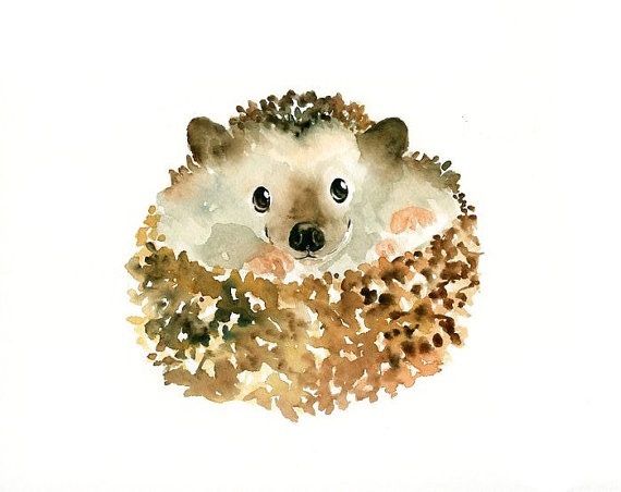 570x452 Hedgehog Watercolors - Hedgehog Watercolor
