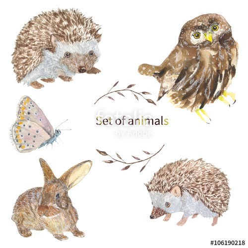500x500 Set Of Animals. Owl, Hedgehog, Butterfly, Bunny Set Of Animals - Hedgehog Watercolor