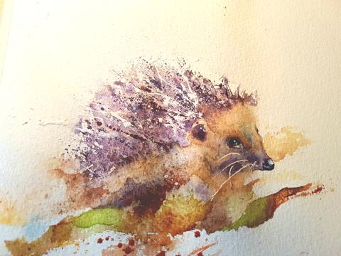 480x360 Seven Steps To Painting A Hedgehog Watercolours By Rachel - Hedgehog Watercolor