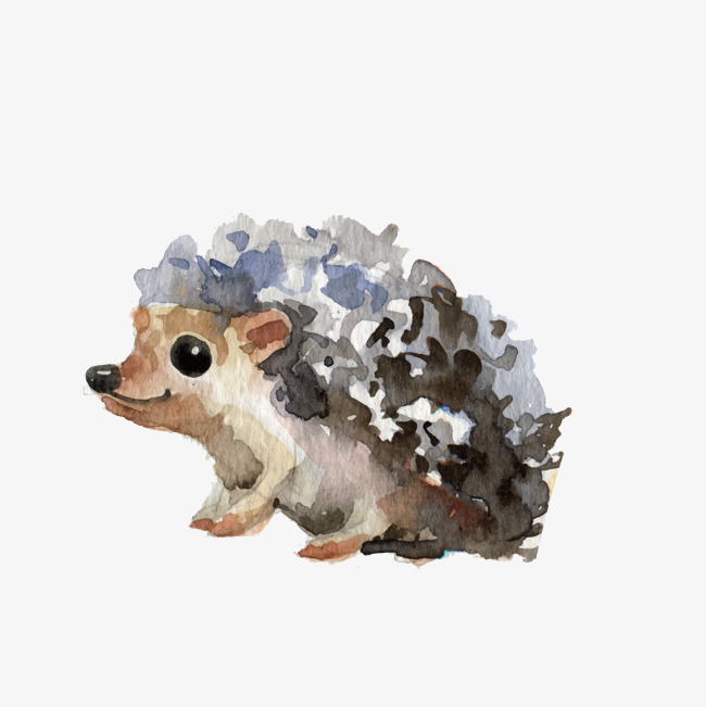 650x651 Watercolor Little Hedgehog, Vector, Watercolor, Art Png And Vector - Hedgehog Watercolor