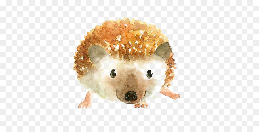 900x460 Watercolor Painting Portrait Printmaking Art - Hedgehog Watercolor