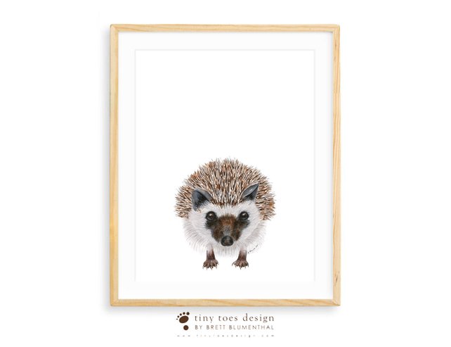 642x493 Woodland Animal Art Hedgehog Watercolor Large Print Animal Etsy - Hedgehog Watercolor