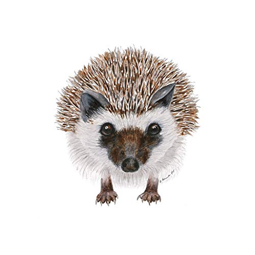 500x500 Baby Hedgehog Watercolor Nursery Wall Art Decor - Hedgehog Watercolor