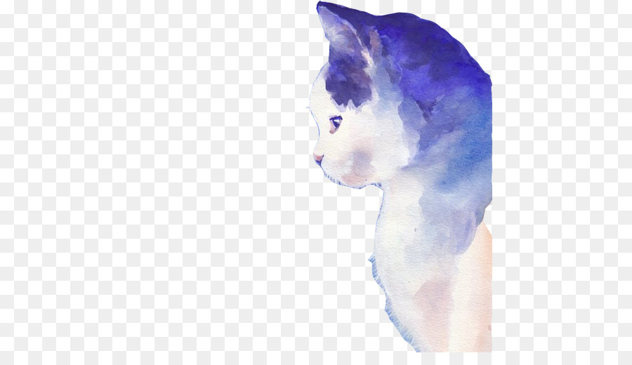 900x520 Download Kitten Whiskers Cat Hello Kitty Yan Creative Side Picture - Hello Kitty Watercolor