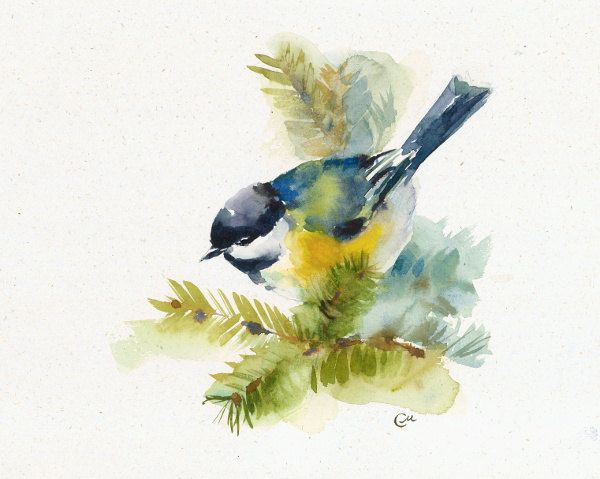 600x479 Tit - Hemp Watercolor Paper