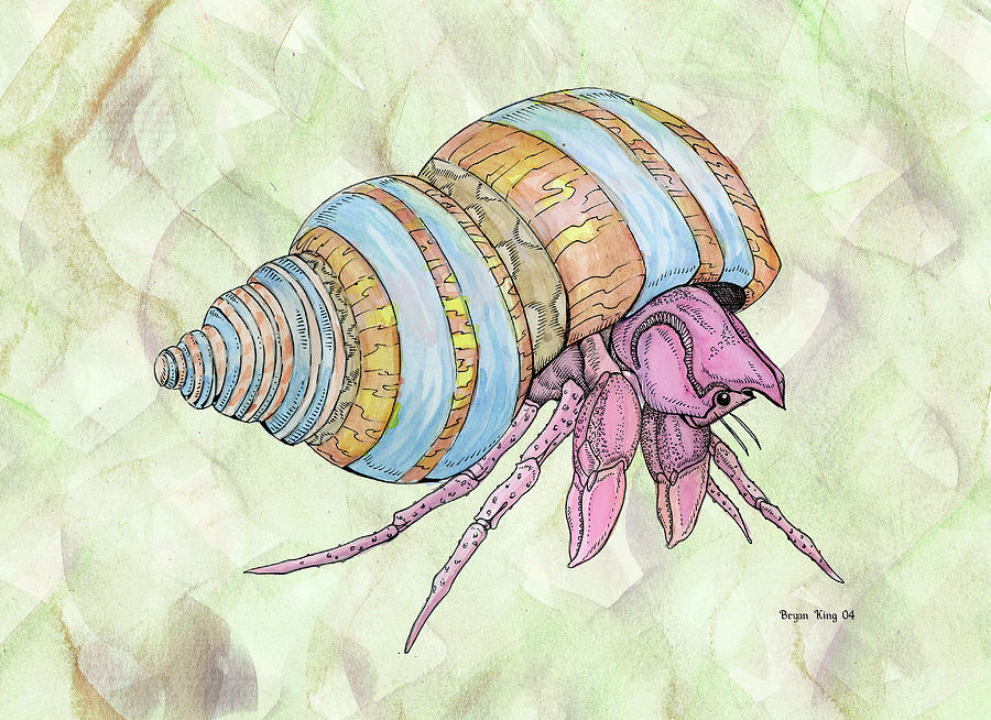 900x654 Hermit Crab Painting By Bryan King - Hermit Crab Watercolor