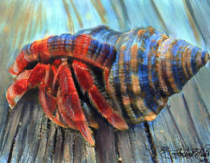 300x234 Hermit Crab Carrying His Shell House, Watercolors Ebay - Hermit Crab Watercolor