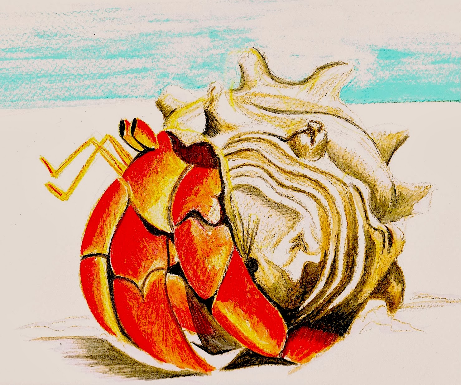 1479x1234 Louann Mattes Brown H Is For Hermit Crab - Hermit Crab Watercolor