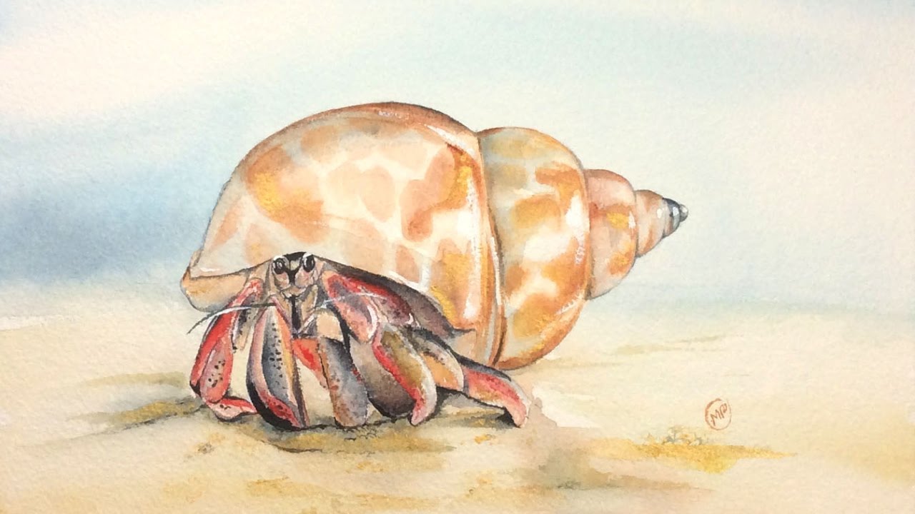 1280x720 Watercolor Hermit Crab With Gold Painting Demonstration - Hermit Crab Watercolor