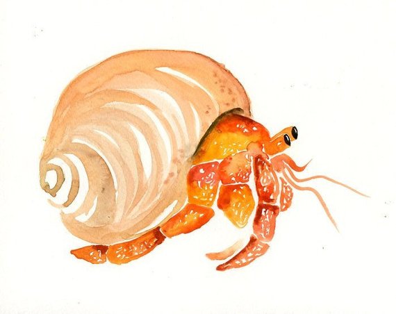 Hermit Crab Watercolor at PaintingValley.com | Explore collection of ...