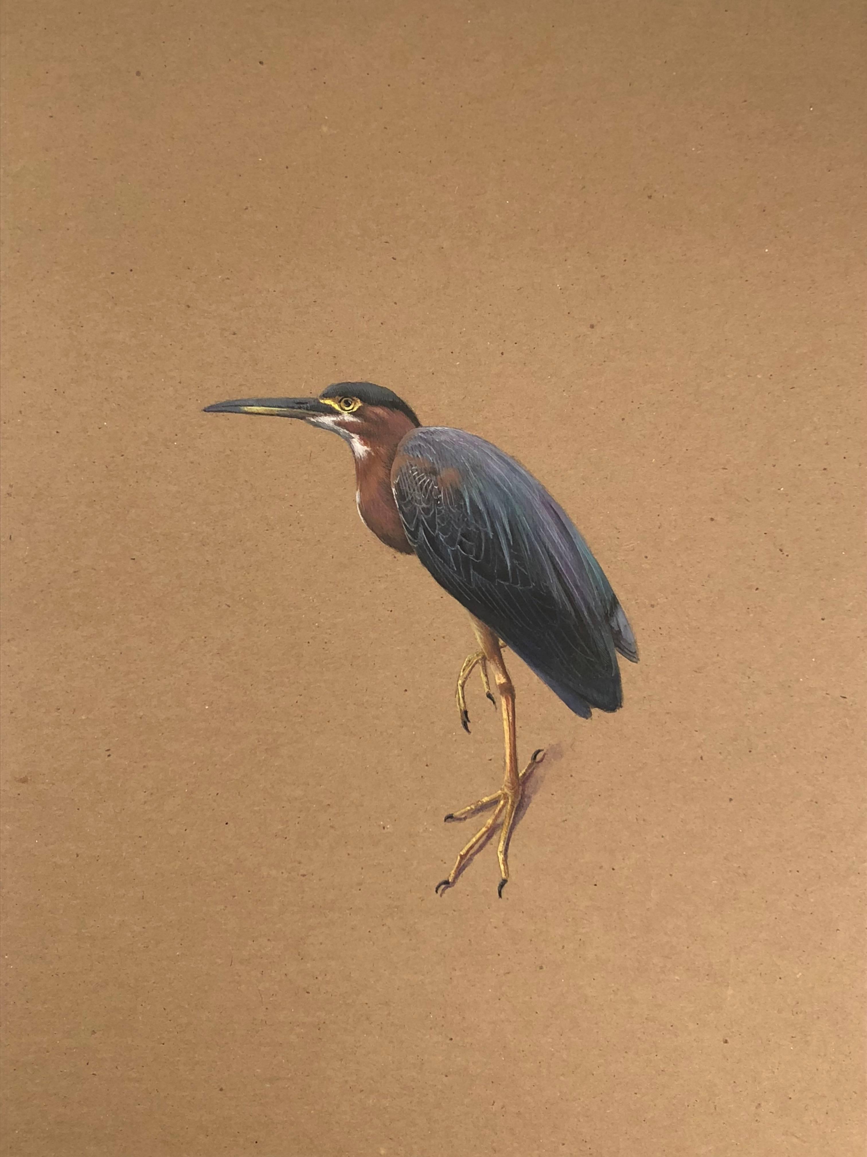 3024x4032 Dina Brodsky - Heron Watercolor